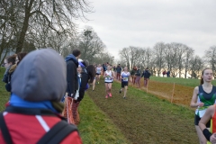 Championnat de Bretagne de cross 2018-010