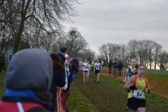 Championnat de Bretagne de cross 2018-014