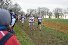 Championnat de Bretagne de cross 2018-016