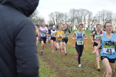 Championnat de Bretagne de cross 2018-026