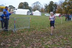 cross-quimper-nov-2018-139