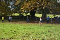 cross-quimper-nov-2018-184