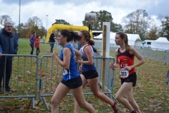 cross-quimper-nov-2018-186