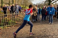 cross-haras-hennebont-decembre-2019-009